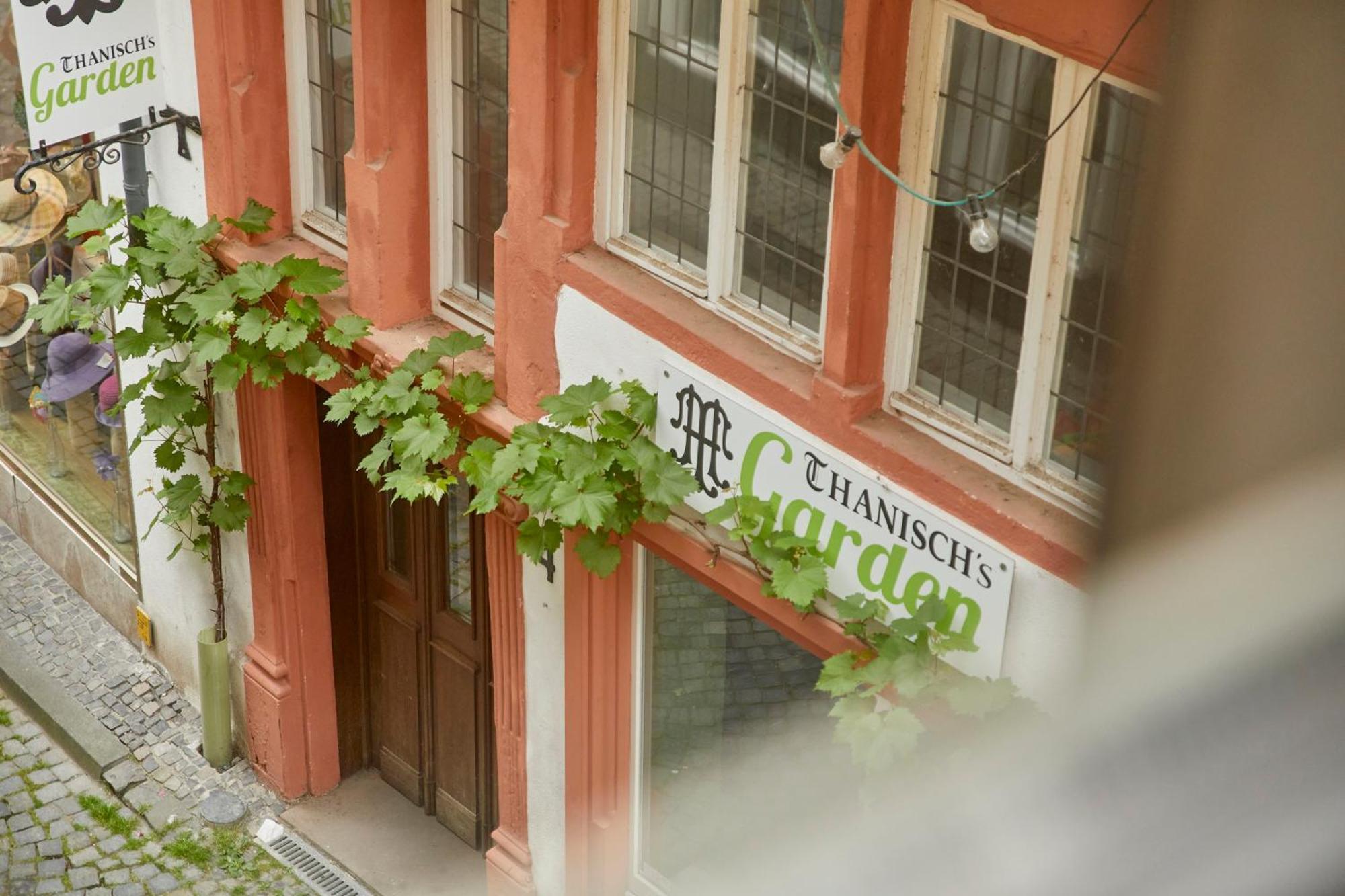 Stadtflair Bernkastel-Kues Εξωτερικό φωτογραφία